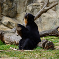 DSC01383.JPG