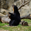 DSC01384.JPG