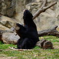 DSC01385.JPG