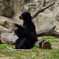 DSC01386.JPG