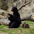 DSC01387.JPG