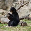 DSC01388.JPG