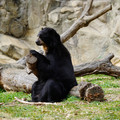 DSC01389.JPG