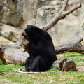 DSC01390.JPG