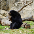 DSC01391.JPG