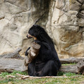 DSC01395.JPG