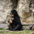 DSC01396.JPG