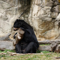 DSC01397.JPG