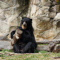 DSC01398.JPG