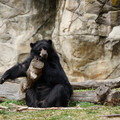 DSC01399.JPG