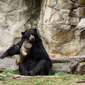 DSC01400.JPG