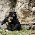 DSC01401.JPG