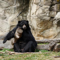 DSC01404.JPG