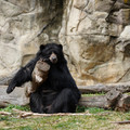 DSC01406.JPG