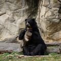 DSC01407.JPG