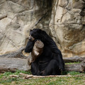 DSC01408.JPG