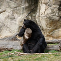 DSC01409.JPG