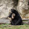 DSC01410.JPG