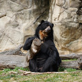 DSC01411.JPG