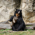 DSC01412.JPG