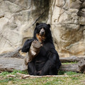 DSC01413.JPG