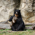 DSC01414.JPG