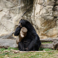 DSC01417.JPG