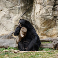 DSC01418.JPG