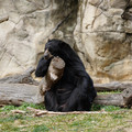 DSC01420.JPG