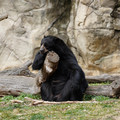 DSC01421.JPG