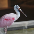 DSC01422.JPG