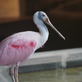 DSC01423.JPG