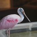 DSC01424.JPG