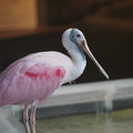 DSC01425.JPG