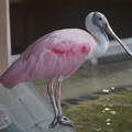 DSC01440.JPG