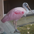 DSC01441.JPG