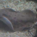 DSC01448.JPG