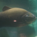 DSC01450.JPG