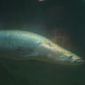 DSC01451.JPG
