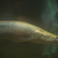 DSC01452.JPG