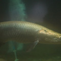 DSC01453.JPG
