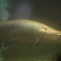 DSC01454.JPG