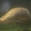 DSC01455.JPG