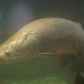DSC01456.JPG