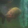 DSC01457.JPG