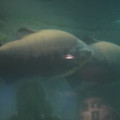 DSC01458.JPG