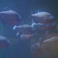 DSC01459.JPG
