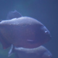 DSC01469.JPG