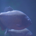 DSC01470.JPG