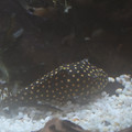 DSC01473.JPG